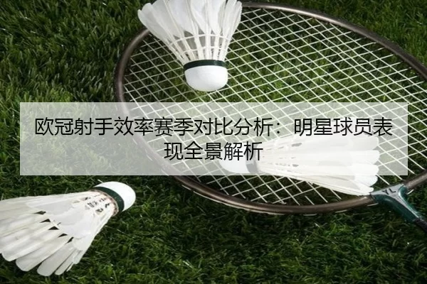 欧冠射手效率赛季对比分析：明星球员表现全景解析