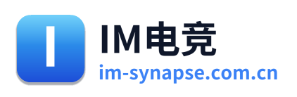 IM电竞 Logo